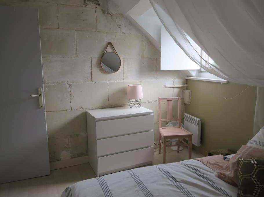 Appartement Des Hirondelles , Au Pied Du Chateau チノン エクステリア 写真