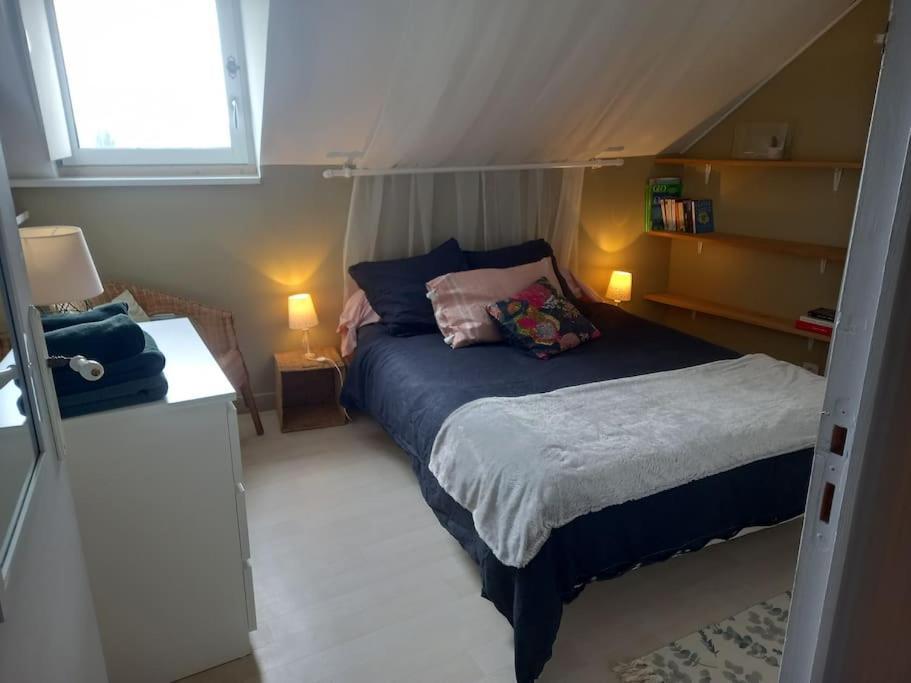 Appartement Des Hirondelles , Au Pied Du Chateau チノン エクステリア 写真