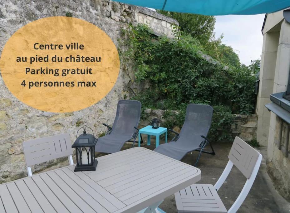 Appartement Des Hirondelles , Au Pied Du Chateau チノン エクステリア 写真