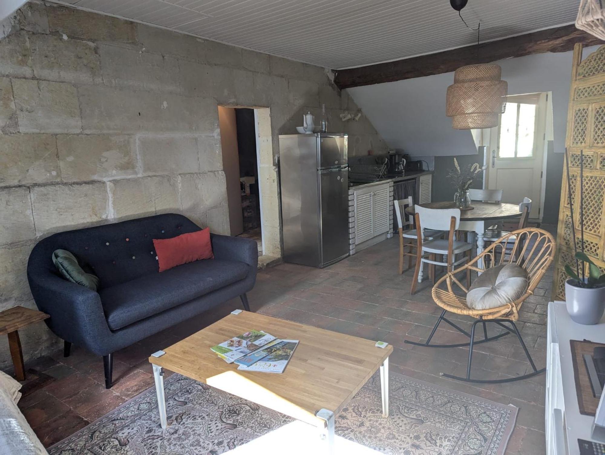 Appartement Des Hirondelles , Au Pied Du Chateau チノン エクステリア 写真