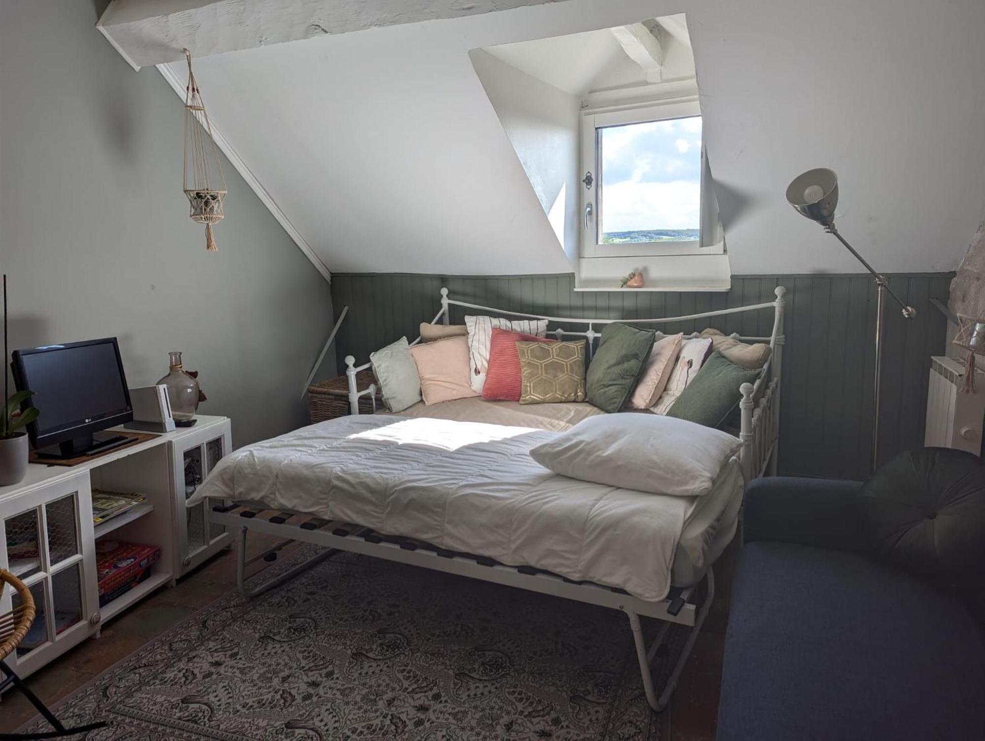 Appartement Des Hirondelles , Au Pied Du Chateau チノン エクステリア 写真